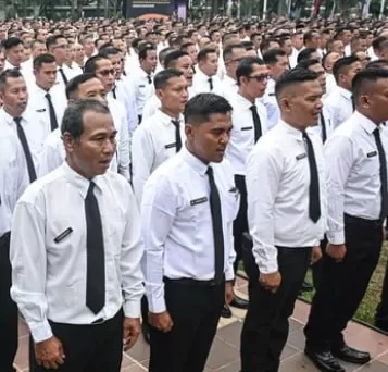 PPPK Paruh Waktu Resmi Dibuka: Gaji UMP Plus THR, Tertarik?