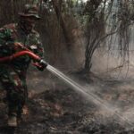 Pakar IPB Ulas Alasan Kebakaran Hutan Lahan Gambut Sangat Sulit Padam