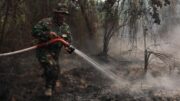 Pakar IPB Ulas Alasan Kebakaran Hutan Lahan Gambut Sangat Sulit Padam