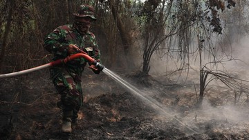 Pakar IPB Ulas Alasan Kebakaran Hutan Lahan Gambut Sangat Sulit Padam