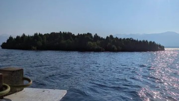 Fenomena Unik Waduk Kanada, Pulau Berpohon Misterius Mendadak Muncul Lalu Hilang Bikin Warga Bingung