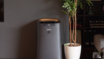 Erupsi Anak Krakatau, Penjualan Air Purifier Sharp Melonjak 3 Lipat