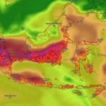 Meta Didesak Transparan Soal Dugaan Hapus Konten Karhutla