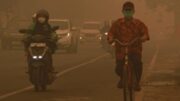 Hujan Turun di Kalimantan, Kabut Asap Karhutla Mulai Menipis
